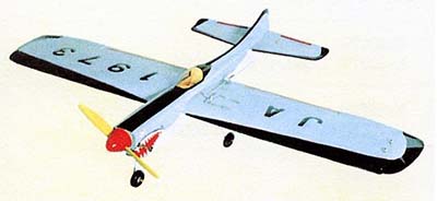 木村模型 シャーク