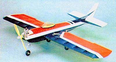 木村模型 トーラス